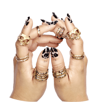 Polly 2025 wales confetti